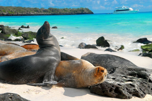 Galapagos Last Minutes Deals
